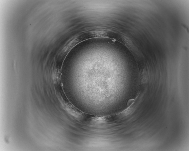 X0000102490140200808151505