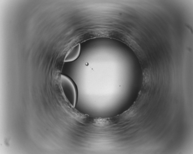 X0000102490141200808151505