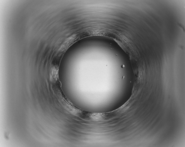 X0000102490142200808151505