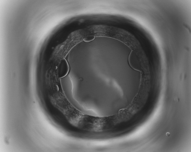 X0000102490143200808151505