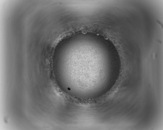 X0000102490144200808151505