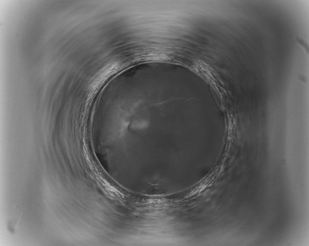 X0000102490145200808151504