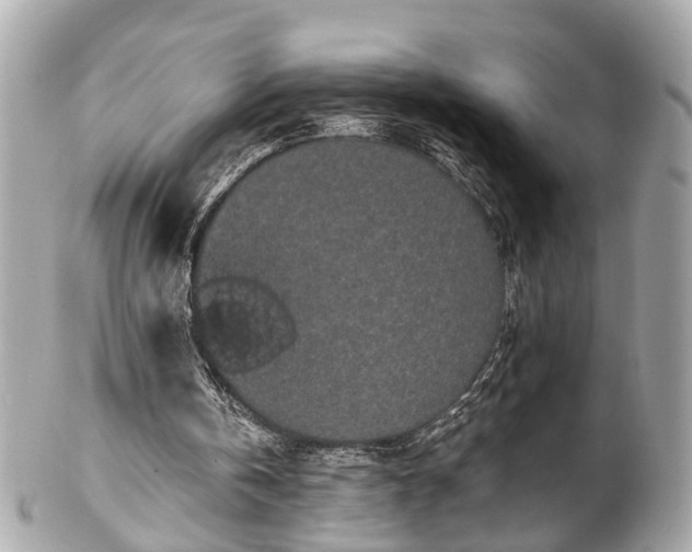 X0000102490146200808151504