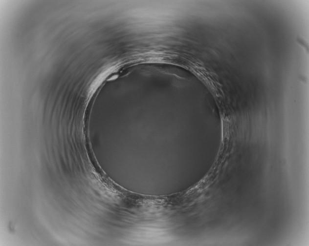 X0000102490147200808151504