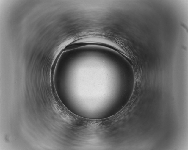 X0000102490148200808151504