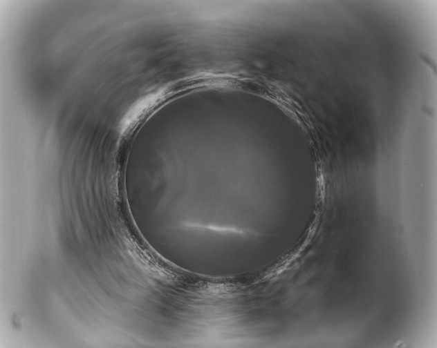 X0000102490149200808151504