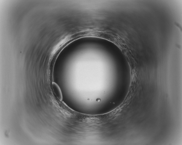 X0000102490150200808151504