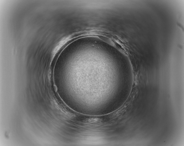 X0000102490152200808151504