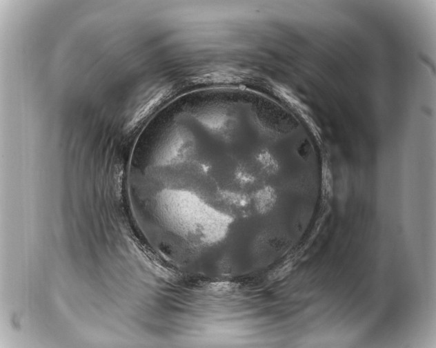 X0000102490153200808151504