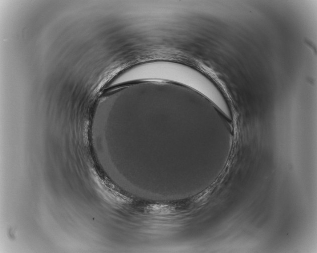 X0000102490154200808151504