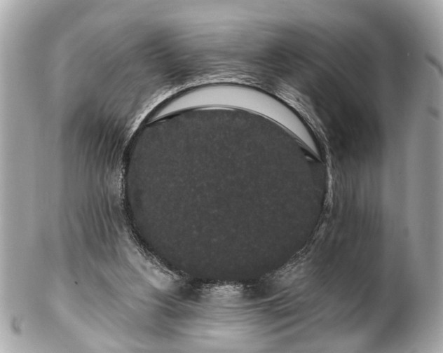 X0000102490156200808151504