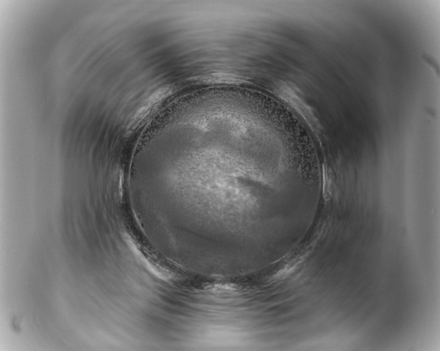 X0000102490157200808151504