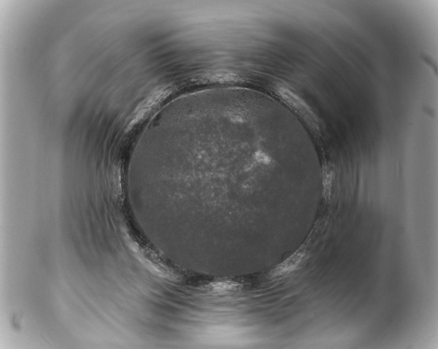 X0000102490158200808151504