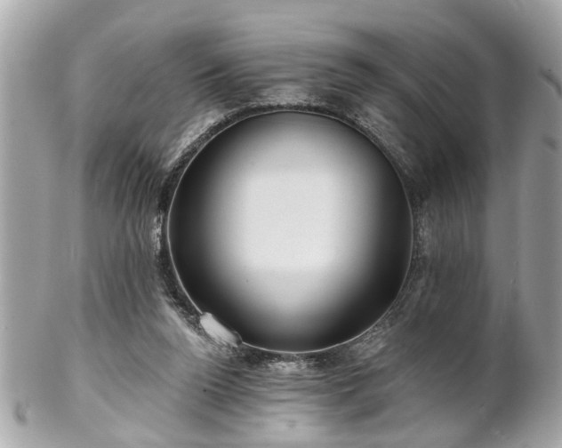 X0000102490160200808151504