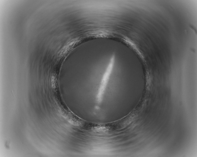 X0000102490161200808151504