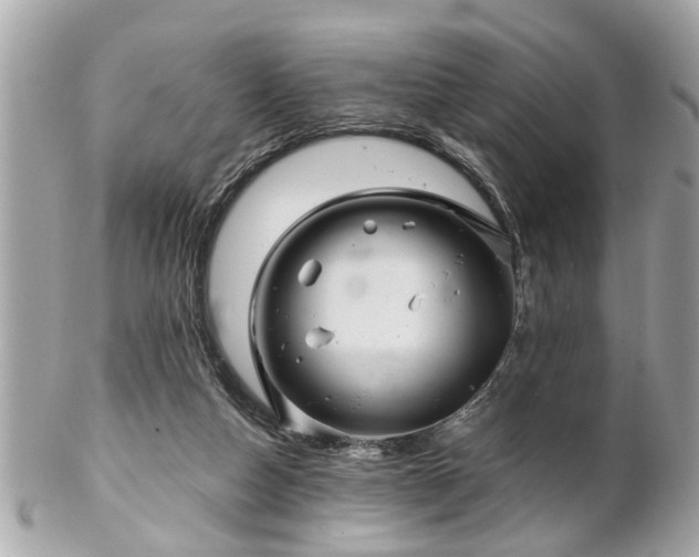 X0000102490162200808151504