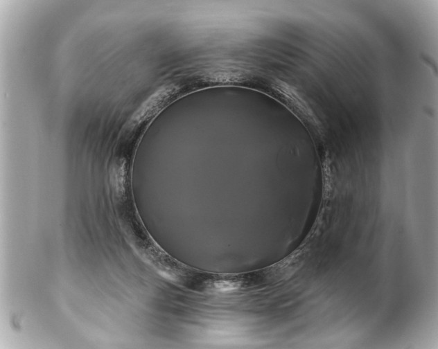 X0000102490163200808151504