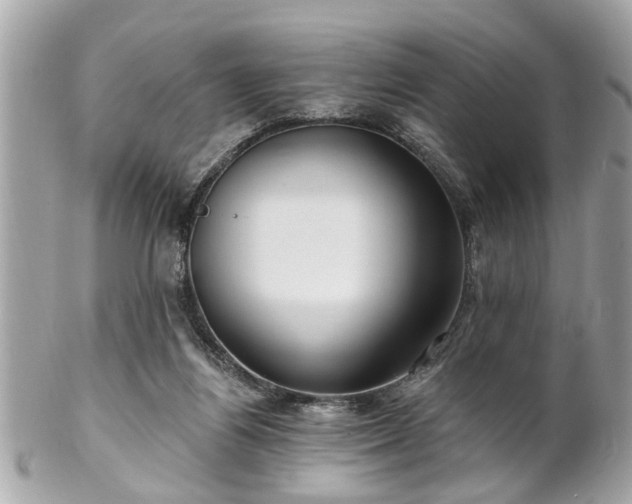 X0000102490164200808151505