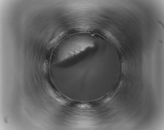 X0000102490165200808151505