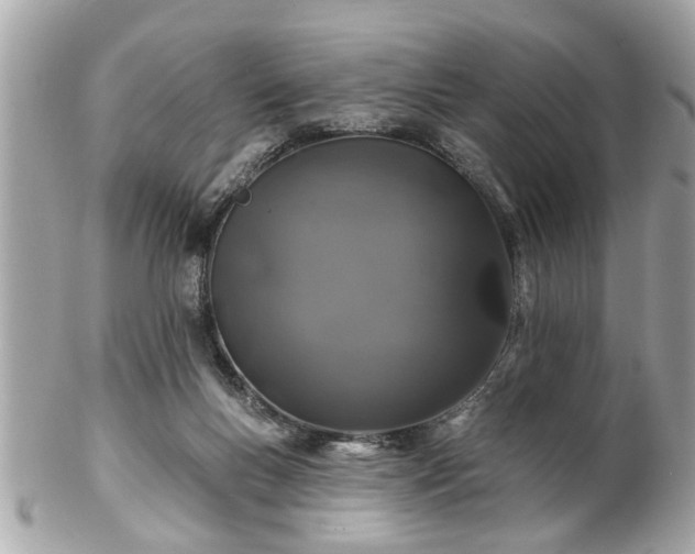 X0000102490167200808151505