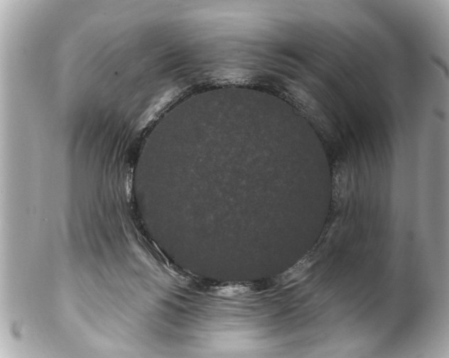 X0000102490168200808151505