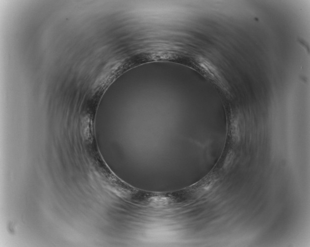 X0000102490169200808151505