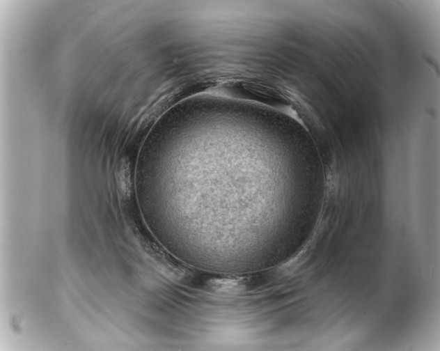 X0000102490170200808151505