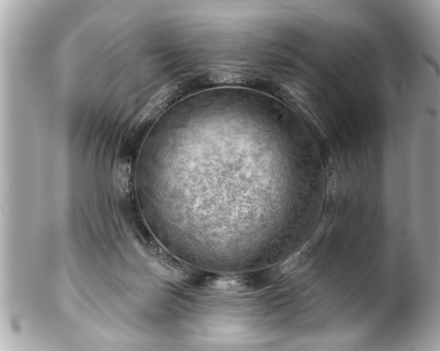 X0000102490171200808151505