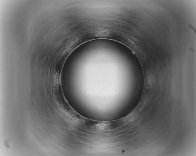 X0000102490172200808151505