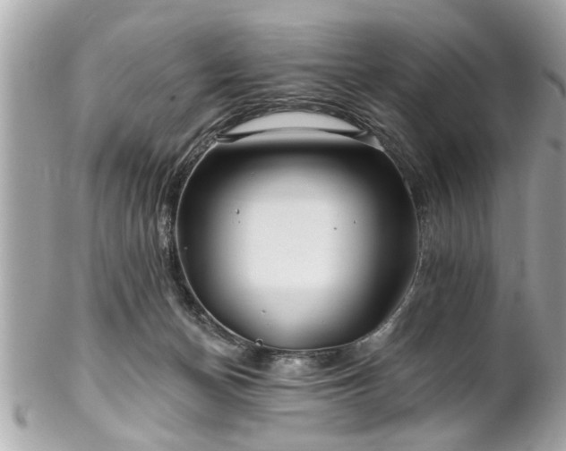 X0000102490174200808151505