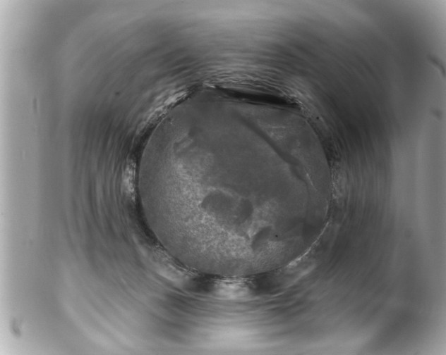 X0000102490175200808151505