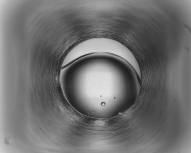 X0000102490176200808151505