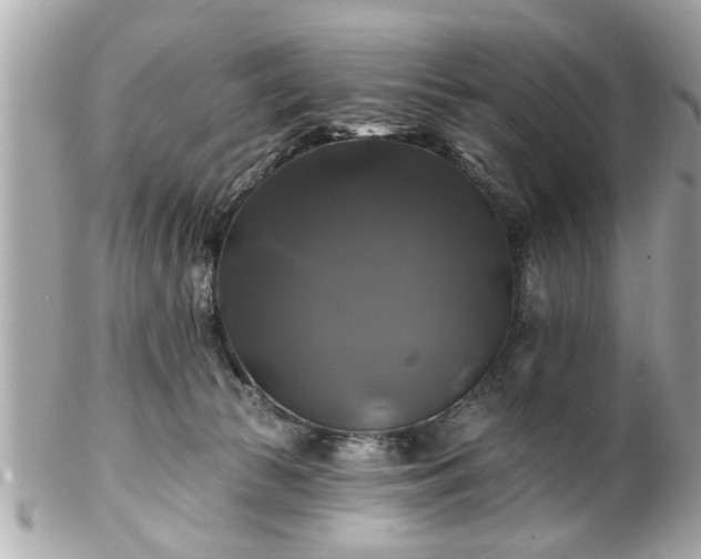 X0000102490177200808151505