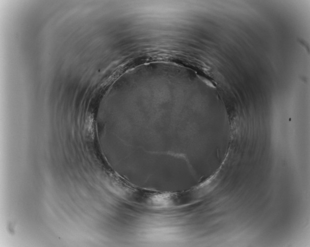 X0000102490178200808151505