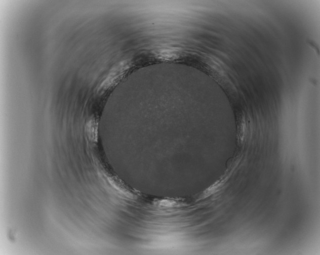 X0000102490180200808151505