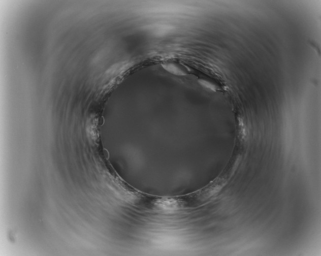 X0000102490181200808151505