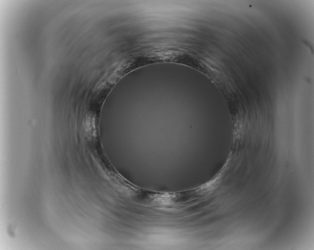 X0000102490182200808151505