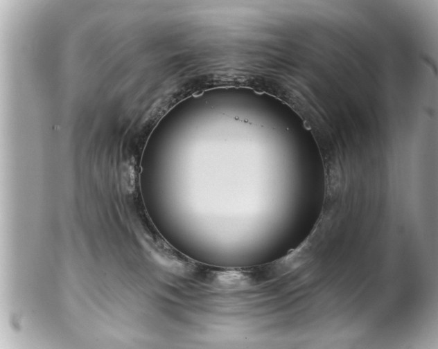 X0000102490183200808151505