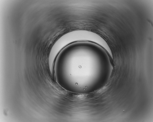 X0000102490184200808151505