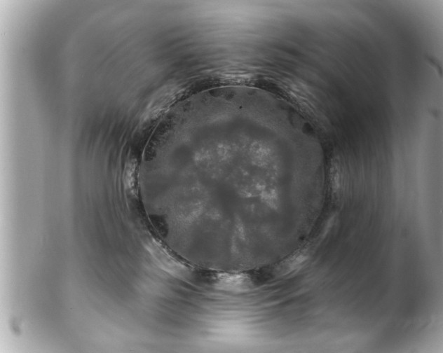 X0000102490185200808151505