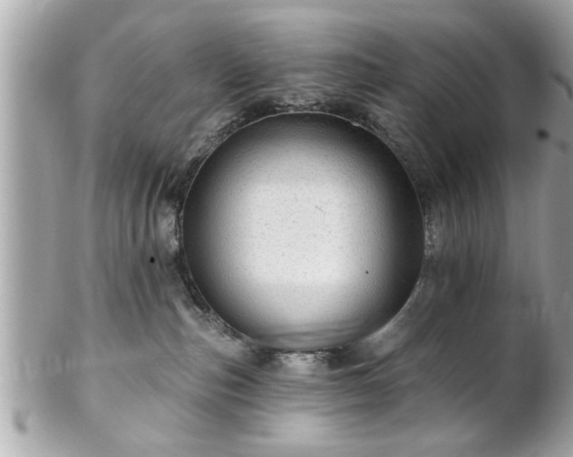 X0000102490187200808151505