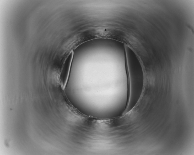 X0000102490188200808151505