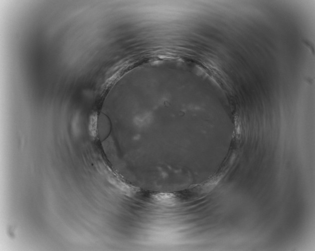 X0000102490189200808151505