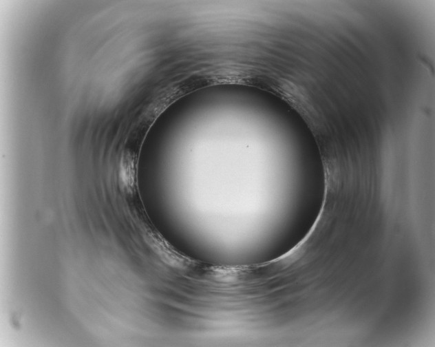 X0000102490190200808151505