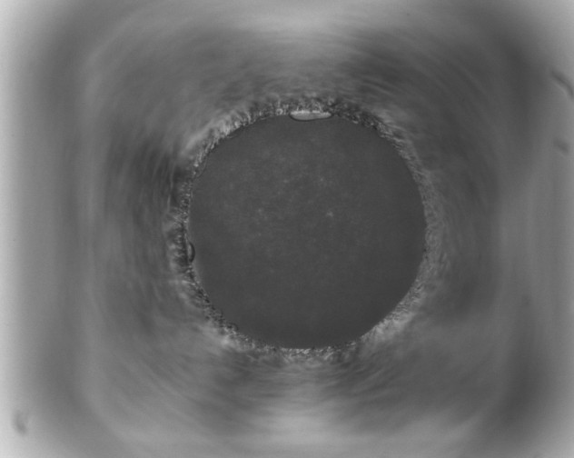 X0000102490192200808151505