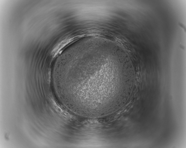 X0000102490194200808151504