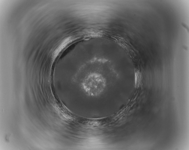 X0000102490195200808151504