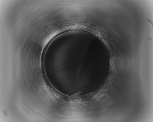 X0000102490196200808151504