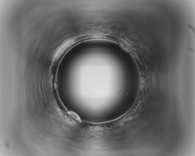 X0000102490197200808151504