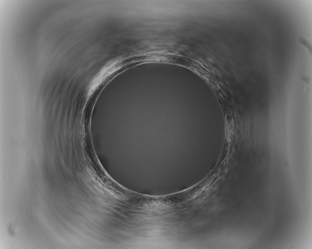 X0000102490198200808151504